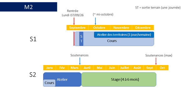 Schéma de l'organisation de l'année de M2. Les cours débutent en septembre. Les ateliers démarrent dès octobre à raison d'un jour par semaine jusqu'à noël, puis à quasi-temps plein de janvier à mars (soutenance). D'avril à août, les étudiants sont en stage et la soutenance a lieu fin septembre..