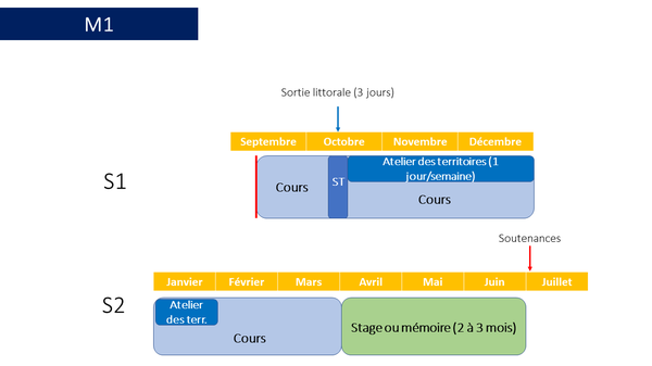 Schéma de l'organisation de l'année de M1. Les cours débutent en septembre. Un stage de terrain sur le littoral de 3 jours a lieu courant octobre. A la suite de cela, les ateliers de terrain démarrent à raison d'un jour par semaine et se terminent fin janvier. D'avril à juin, les étudiants sont en stage dont la soutenance a lieu fin juin.